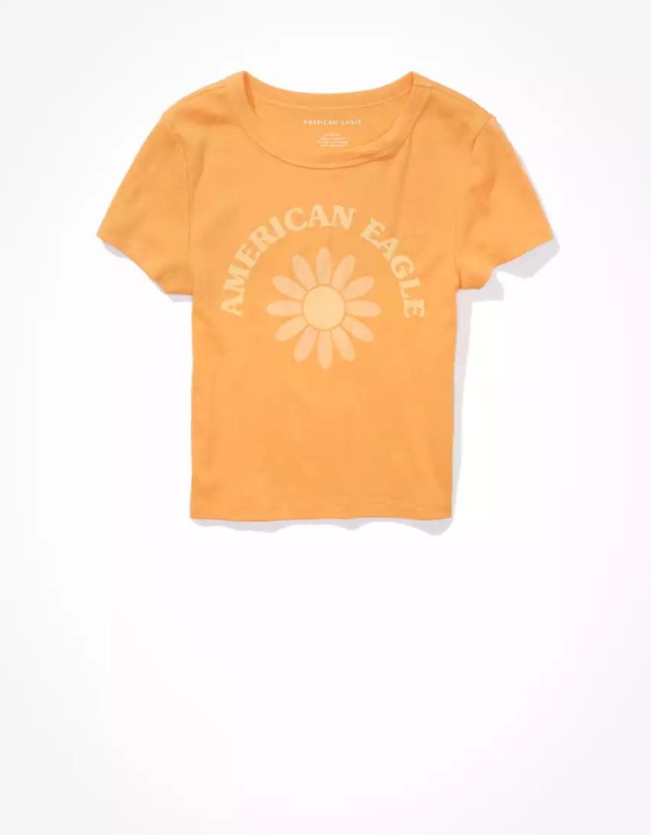 T Shirts American Eagle AE Hey Baby Tee Mangue Femme | MKR-02762979